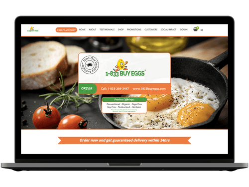 A preview of 1-833 Buy Eggs's website.