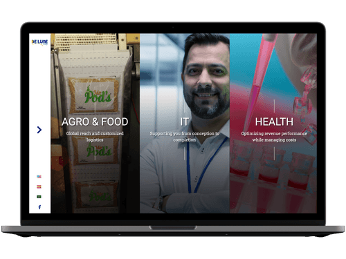 A preview of De Lune Corp's website.